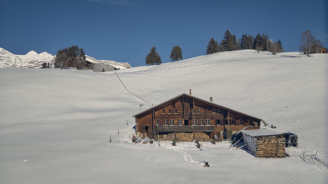 Photo of Others in Saanen