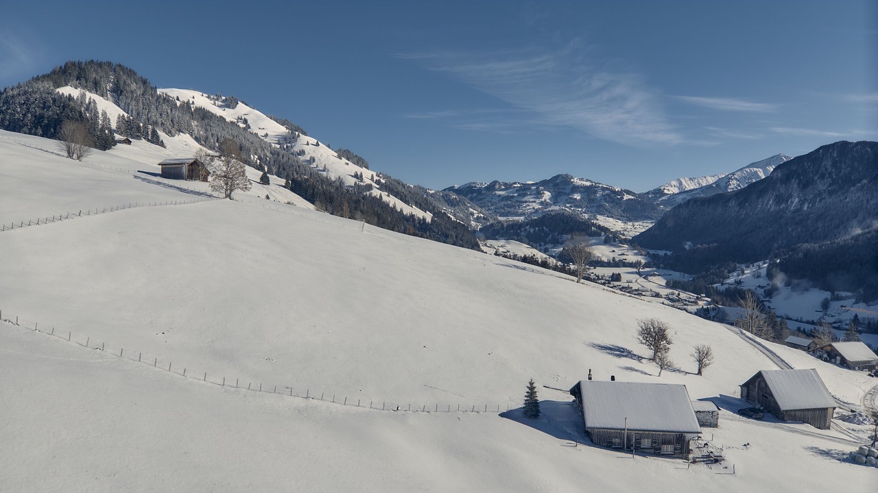 Photo of Others in Saanen
