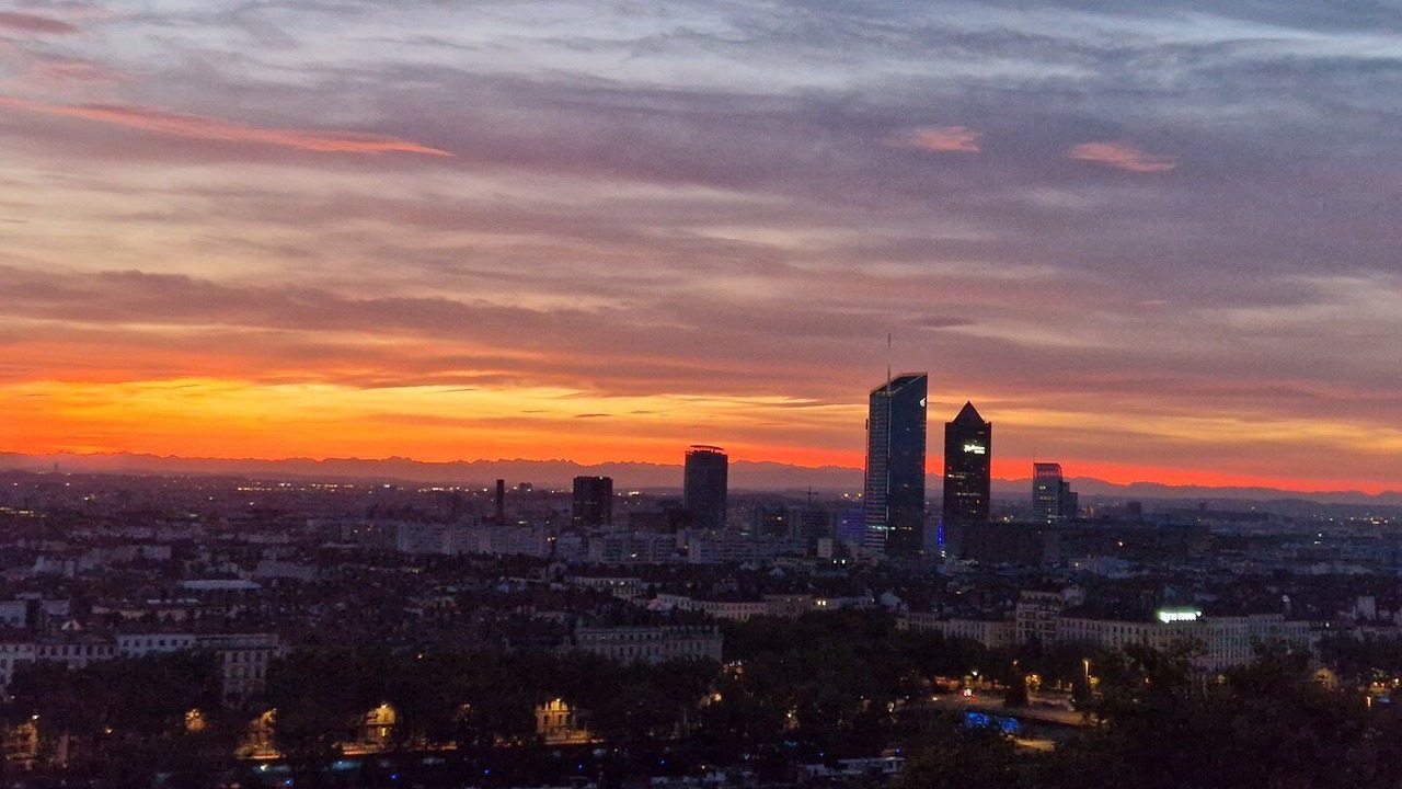 Photo of Others in Griffon - Royale