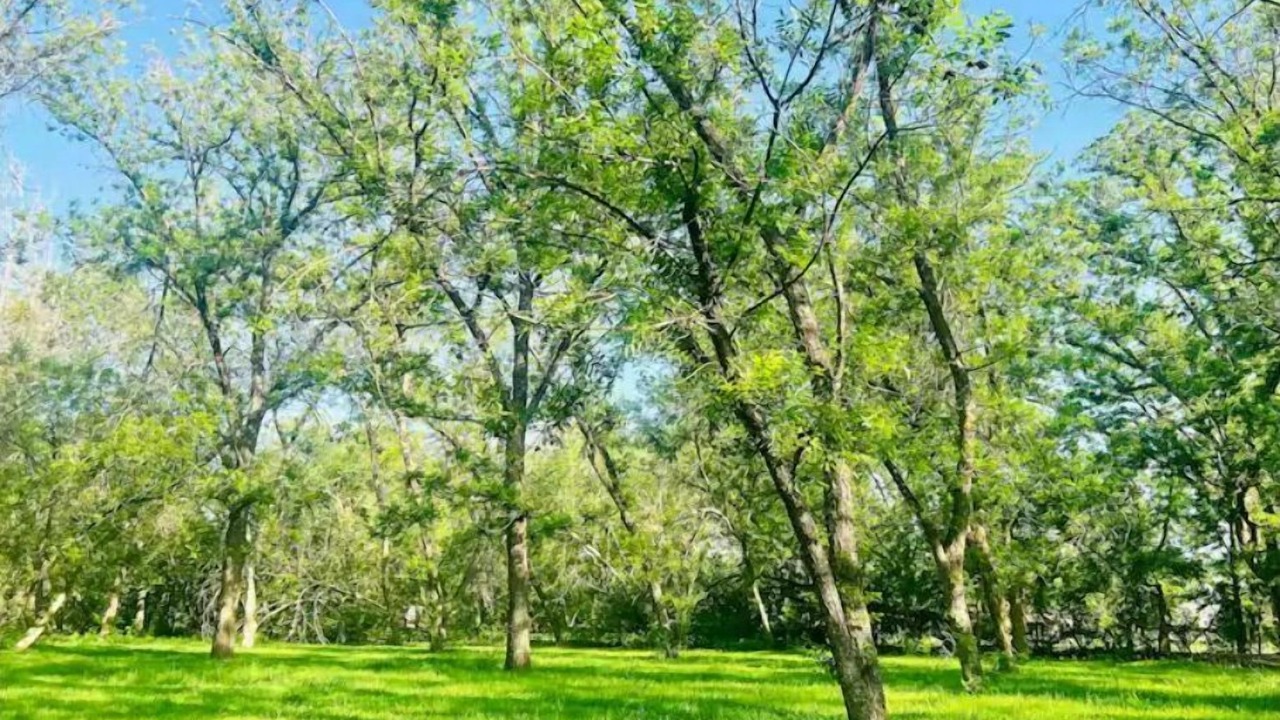 Photo of Outdoor in El Paso
