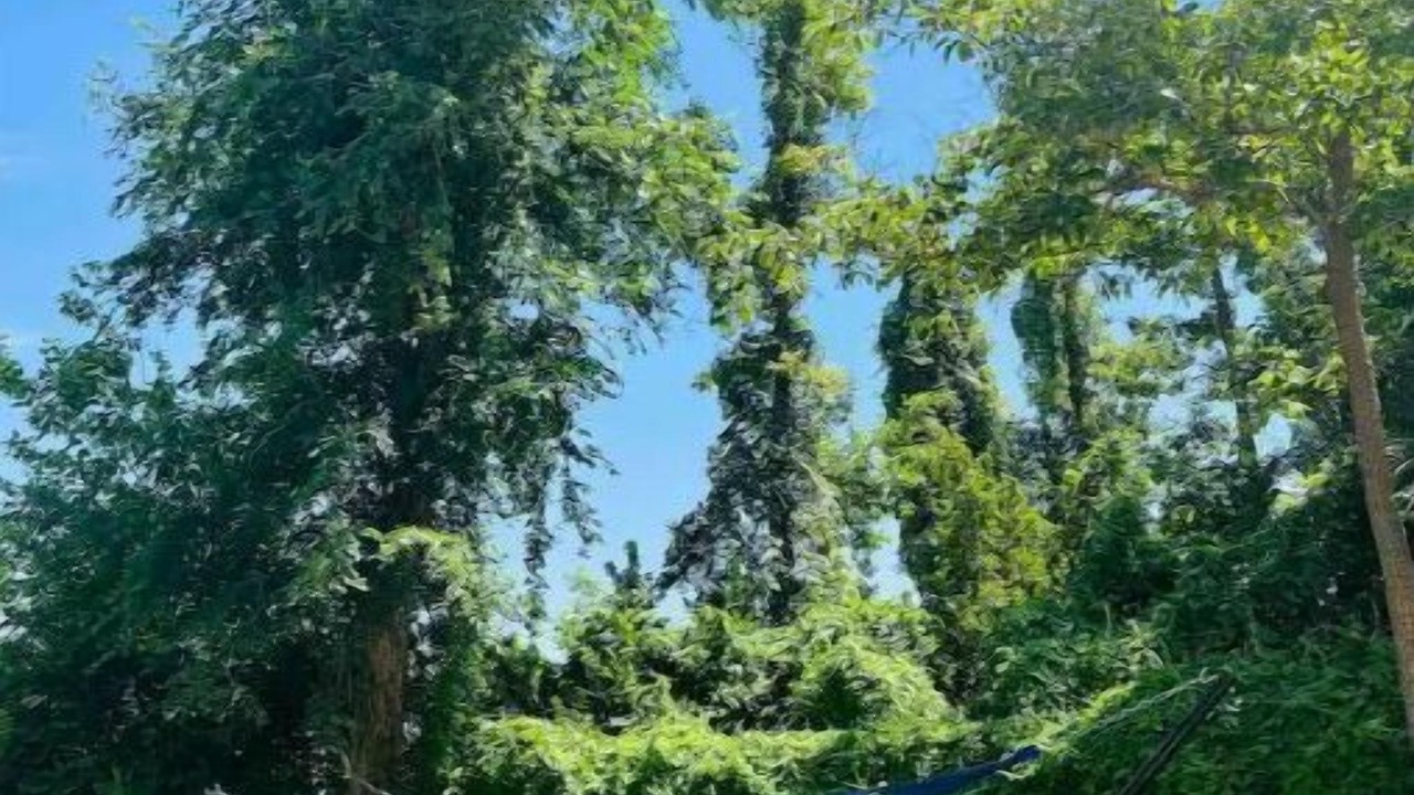 Photo of Outdoor in El Paso