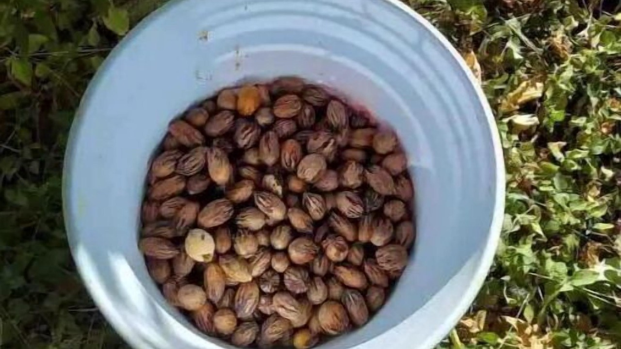 Photo of Others in El Paso