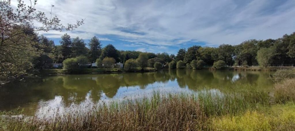 Photo of Outdoor in La Guyonniere