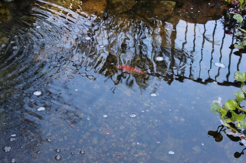 Photo of Others in Northwest Harwich