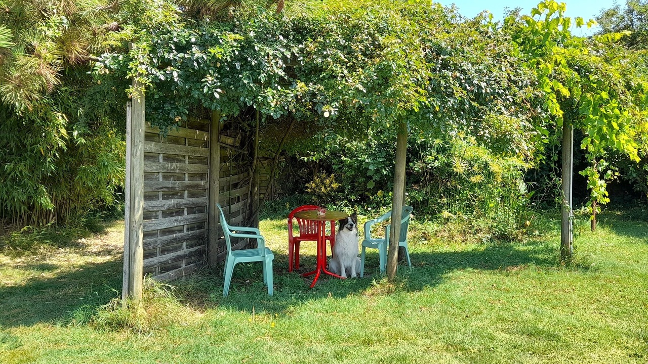 Photo of Outdoor in Bourgneuf-en-Retz