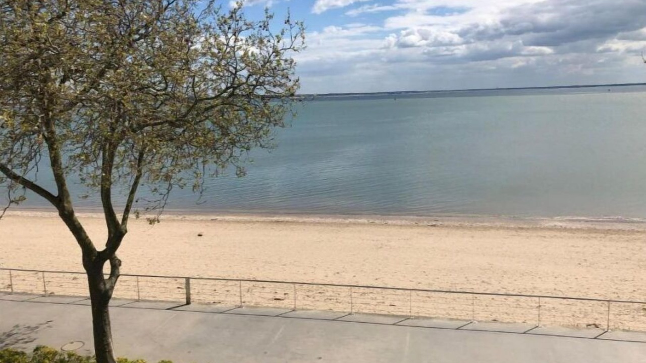 Photo of Others in Saint-Nazaire
