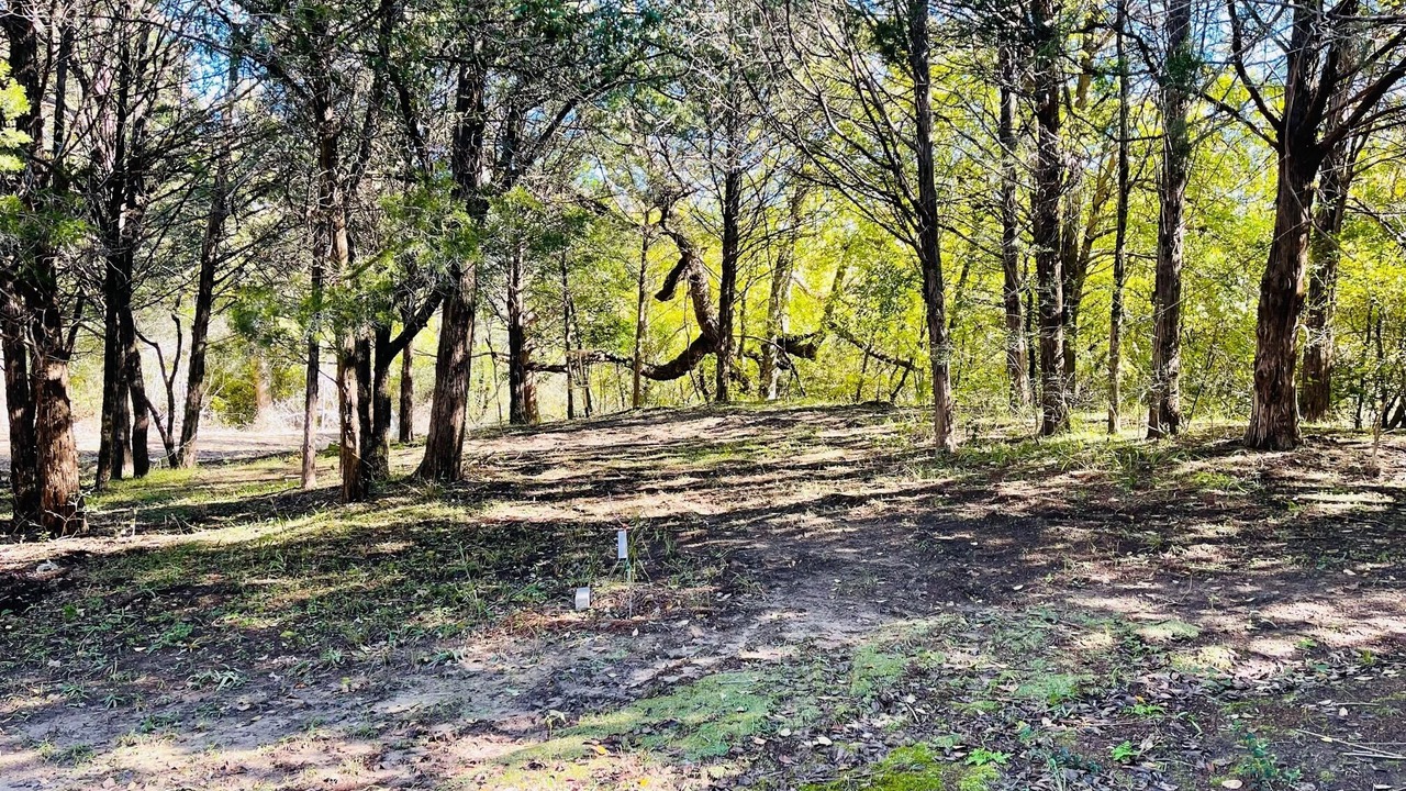 Photo of Outdoor in Camp Swift