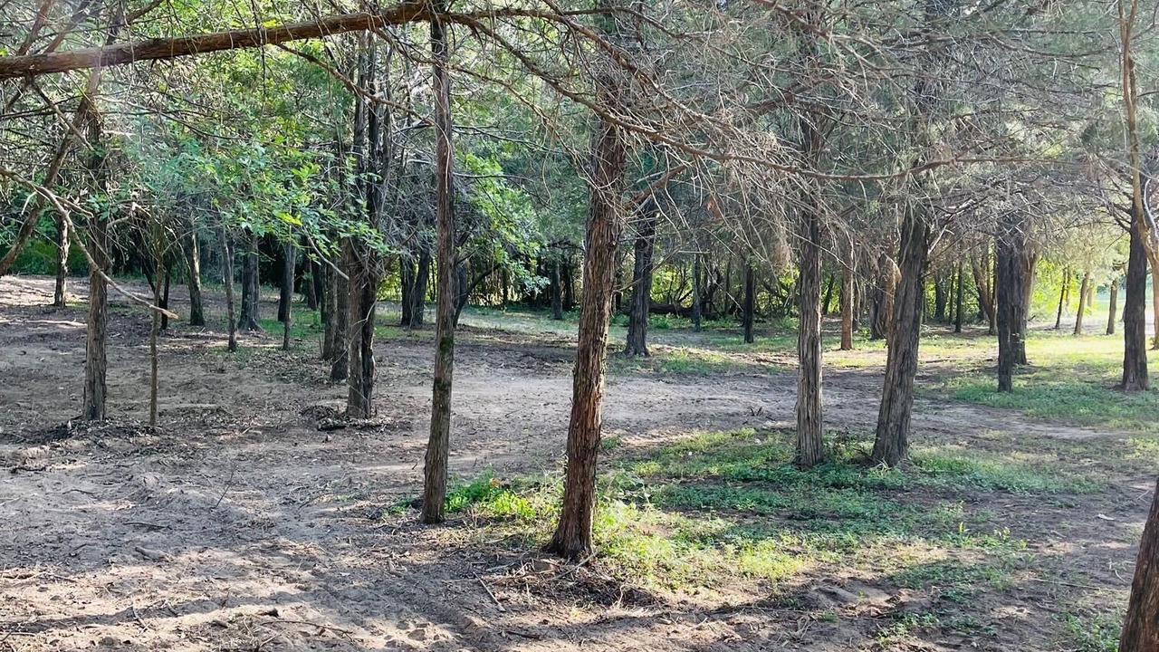 Photo of Outdoor in Camp Swift