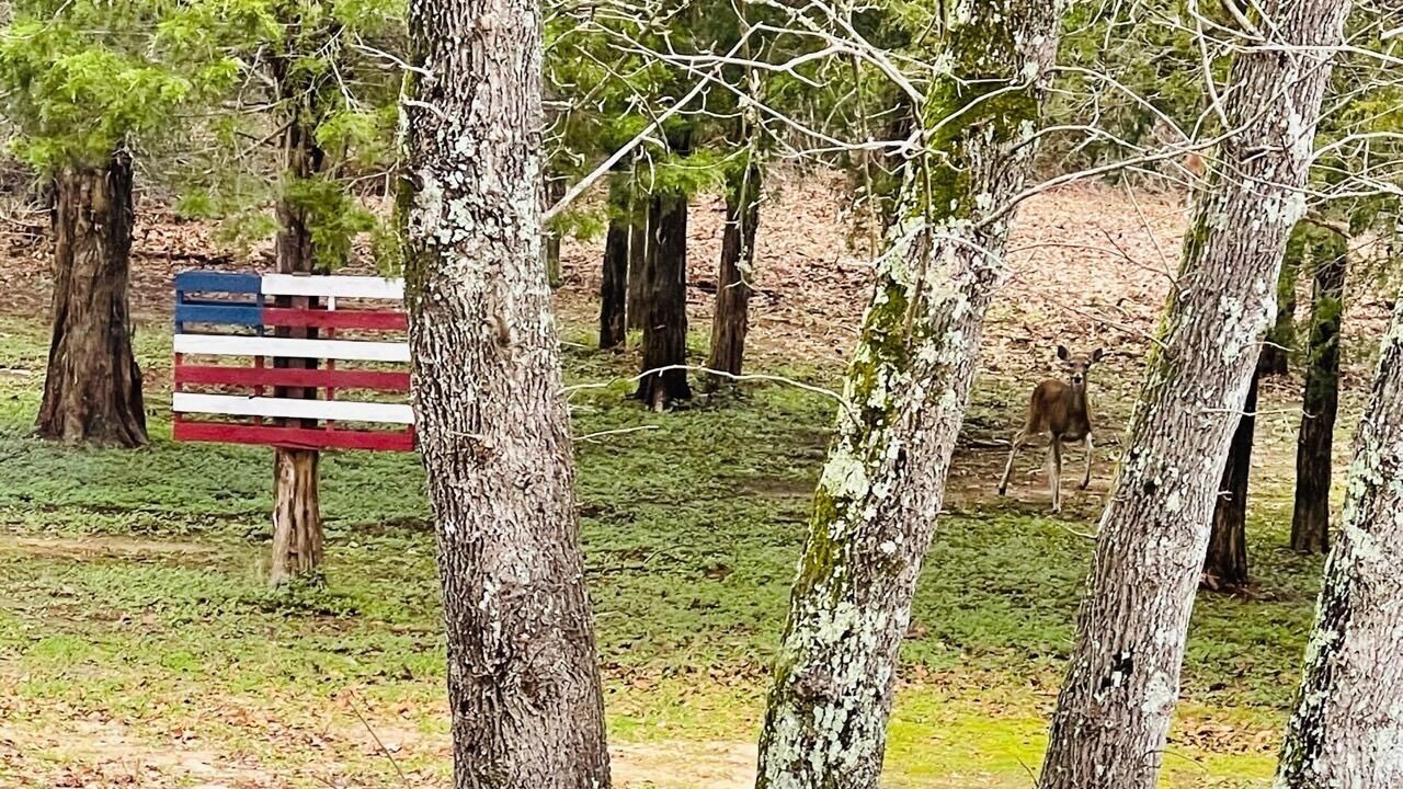 Photo of Outdoor in Camp Swift