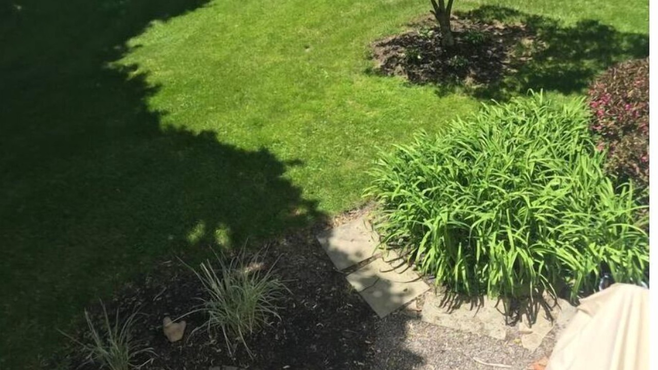 Photo of Outdoor in Pittsford