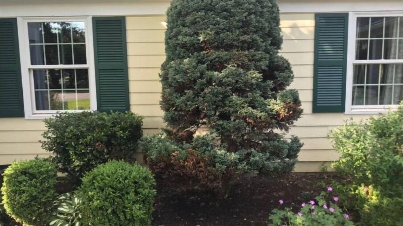 Photo of Outdoor in Pittsford