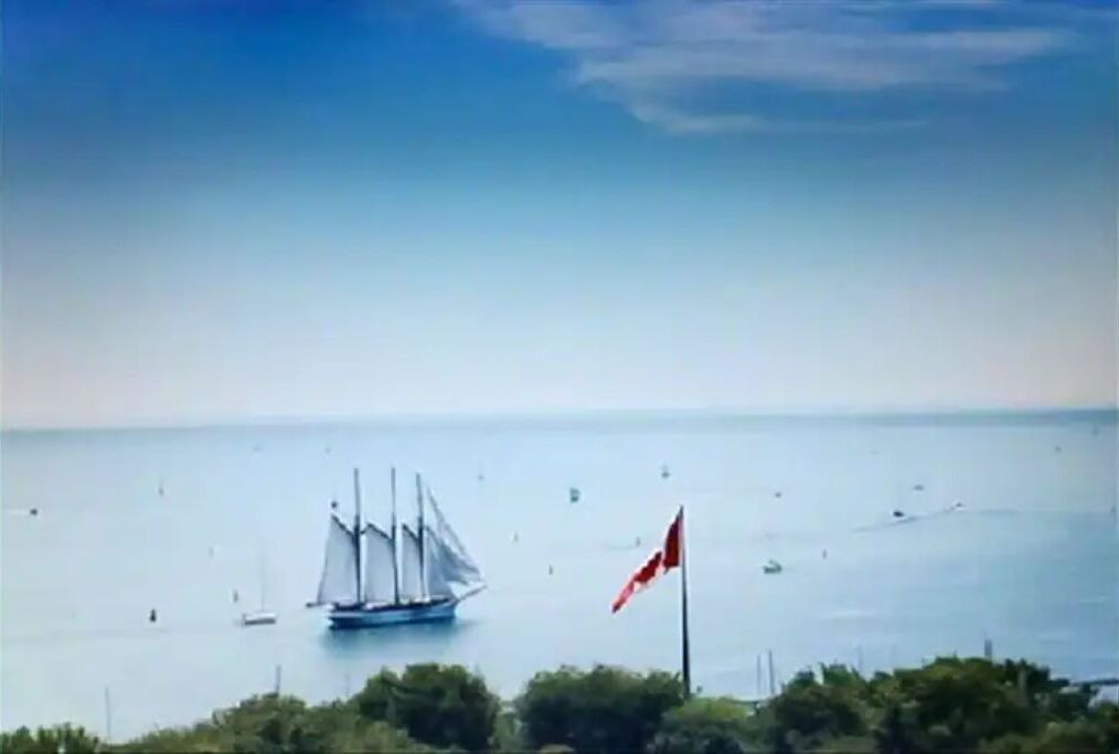 Photo of Others in Fort York
