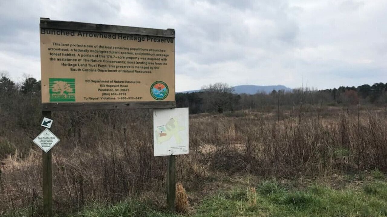 Photo of Others in Travelers Rest