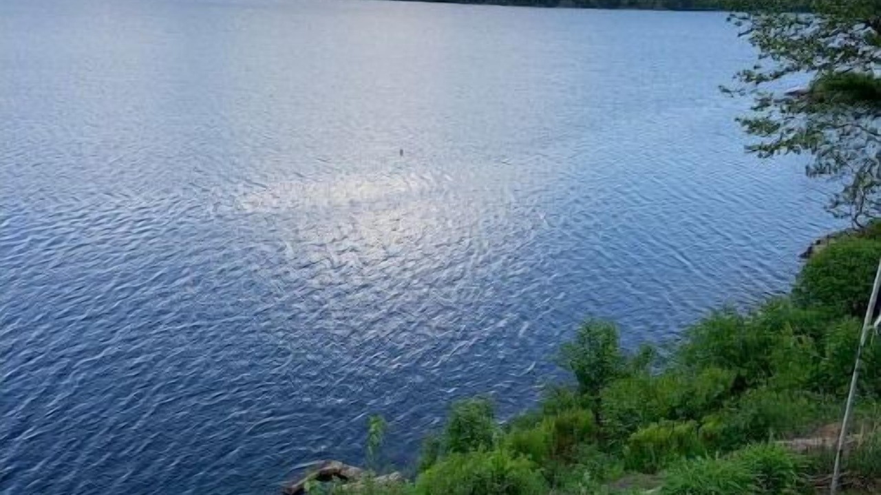 Photo of Others in Dryden