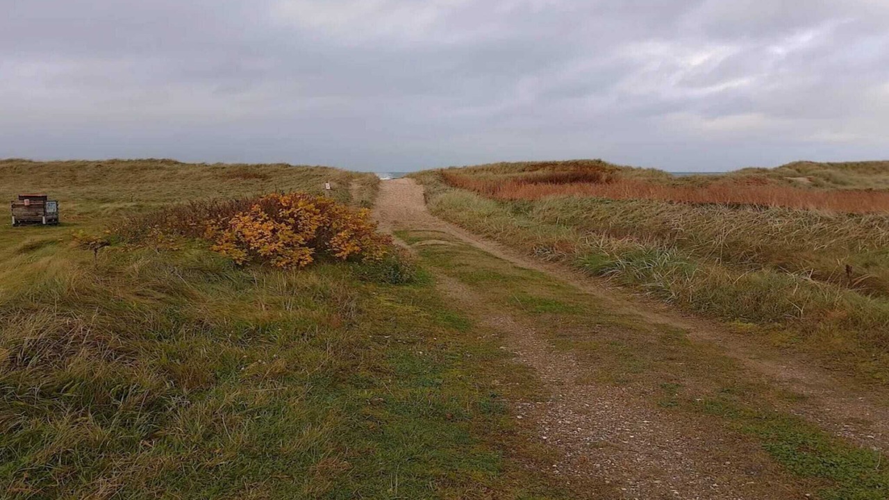 Photo of Others in Torup Strand
