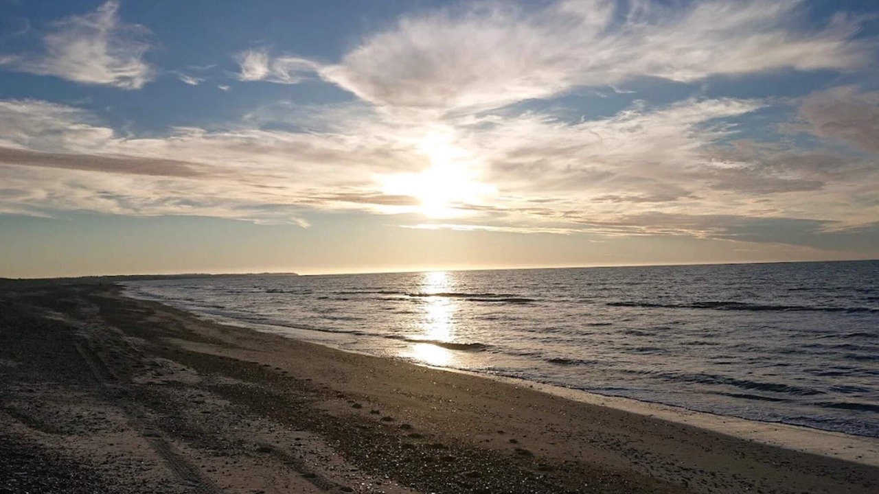Photo of Others in Torup Strand