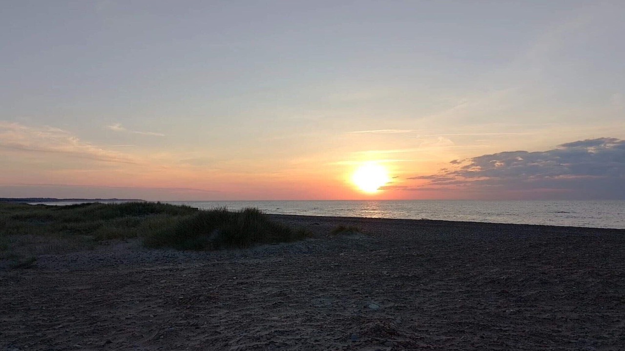 Photo of Others in Torup Strand