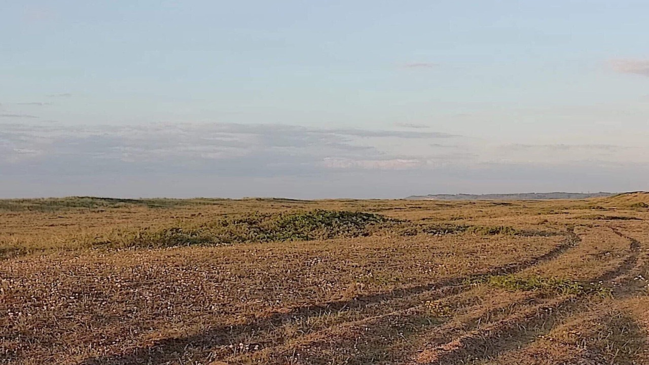 Photo of Others in Torup Strand