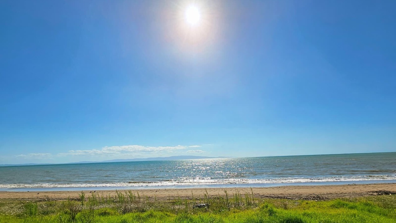 Photo of Others in Ngarimu Bay