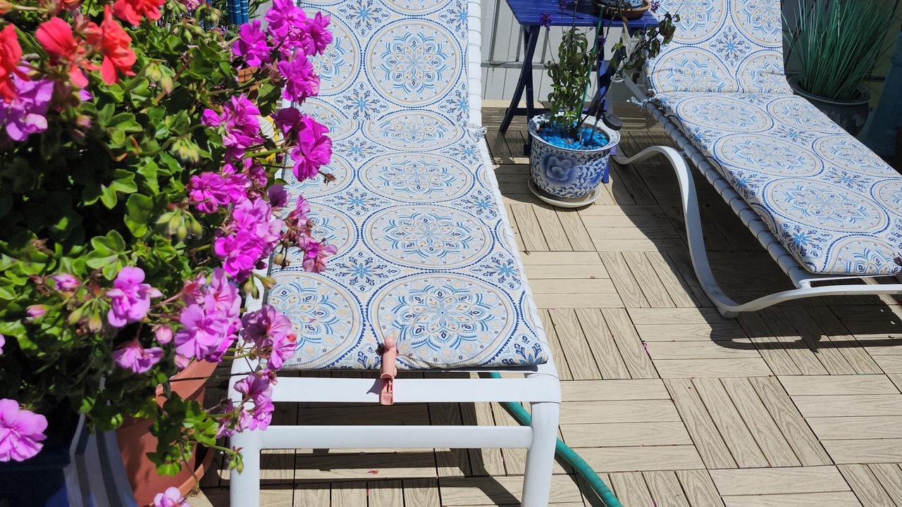 Photo of Patio Balcony in Western Addition
