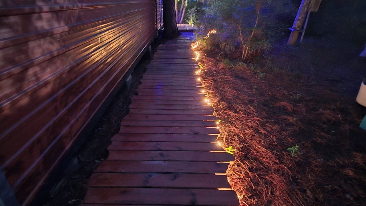 Photo of Outdoor in South Toledo Bend
