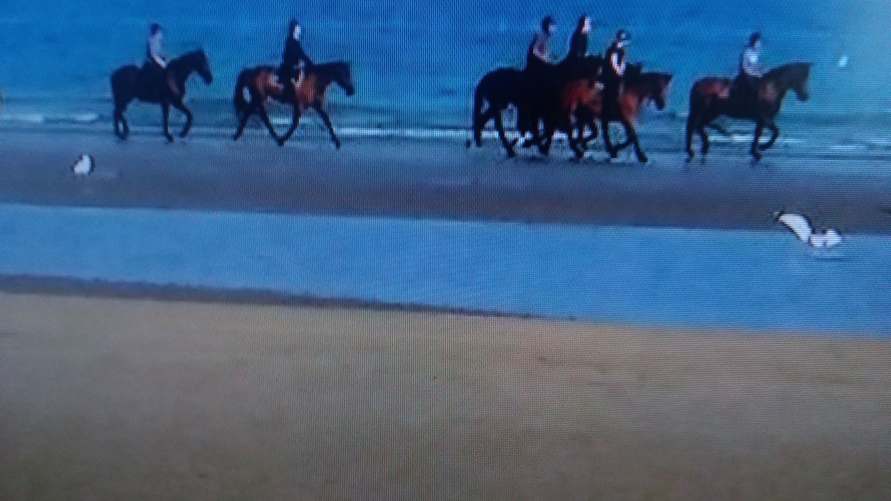 Photo of Others in Villers-sur-Mer