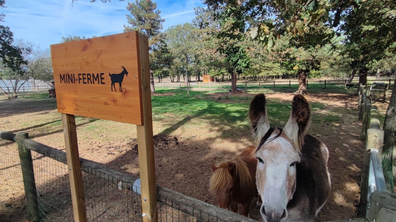 Photo of Outdoor in La Guyonniere