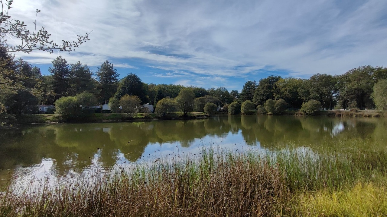 Photo of Others in La Guyonniere