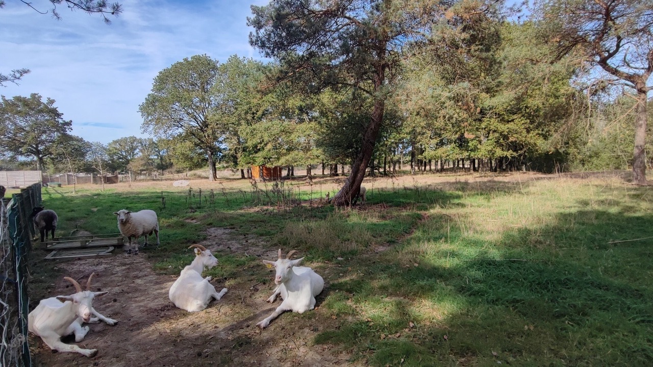 Photo of Outdoor in La Guyonniere