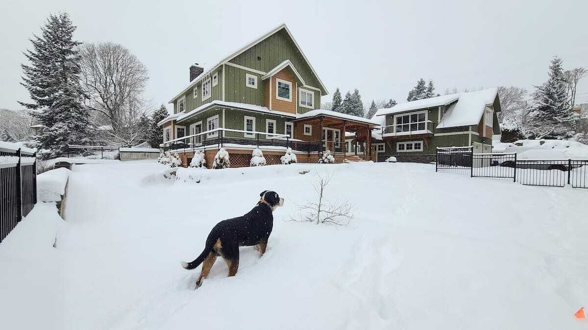 Photo of Others in White Salmon