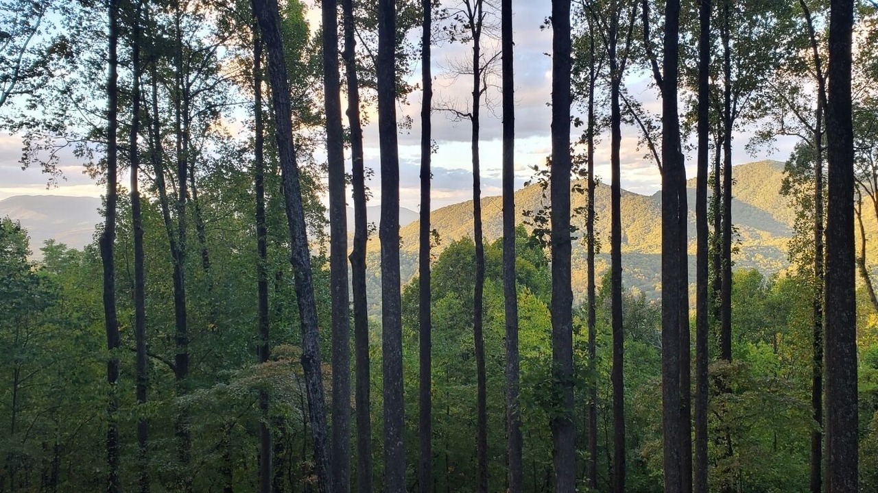 Photo of Others in Walnut Mountain