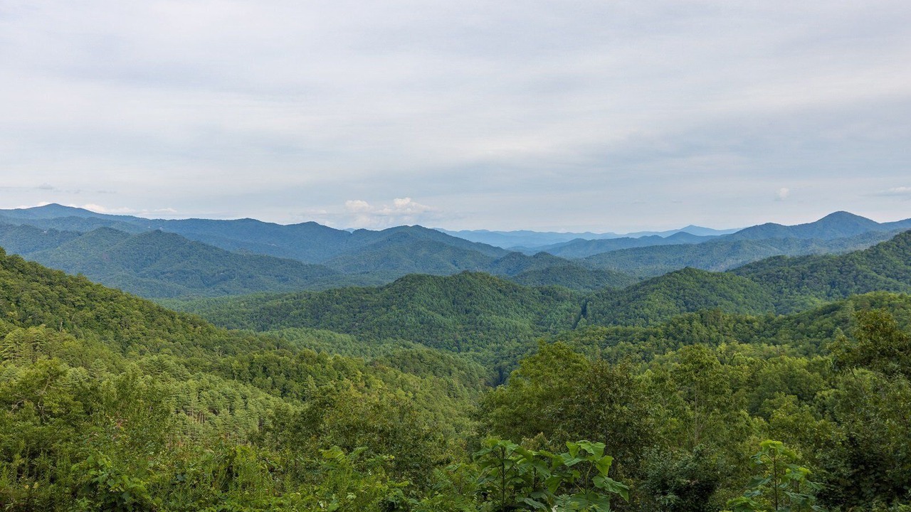 Photo of Others in Bryson City