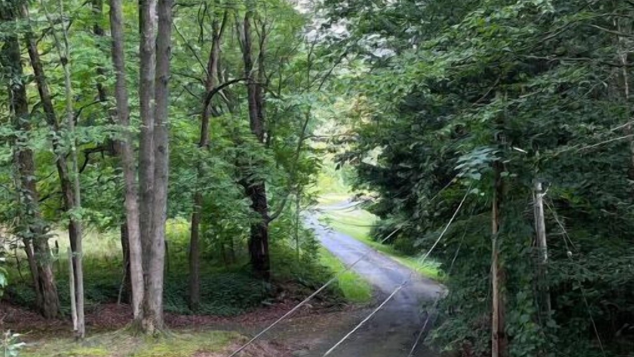 Photo of Outdoor in Jamestown