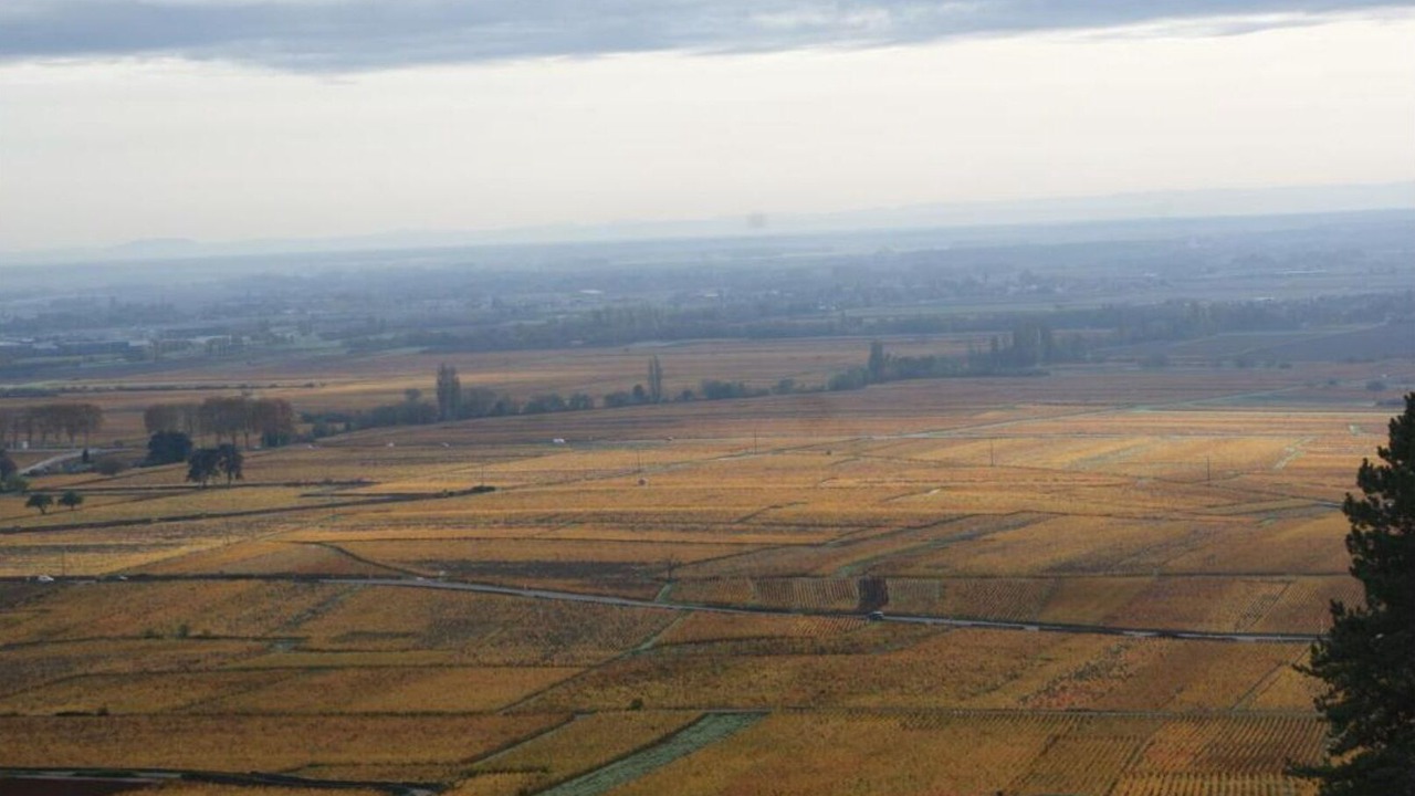 Photo of Others in Volnay