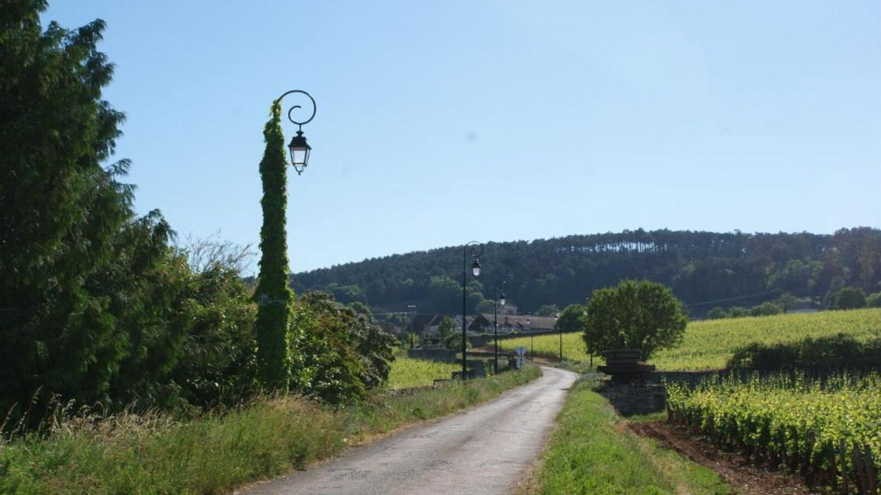 Photo of Others in Volnay