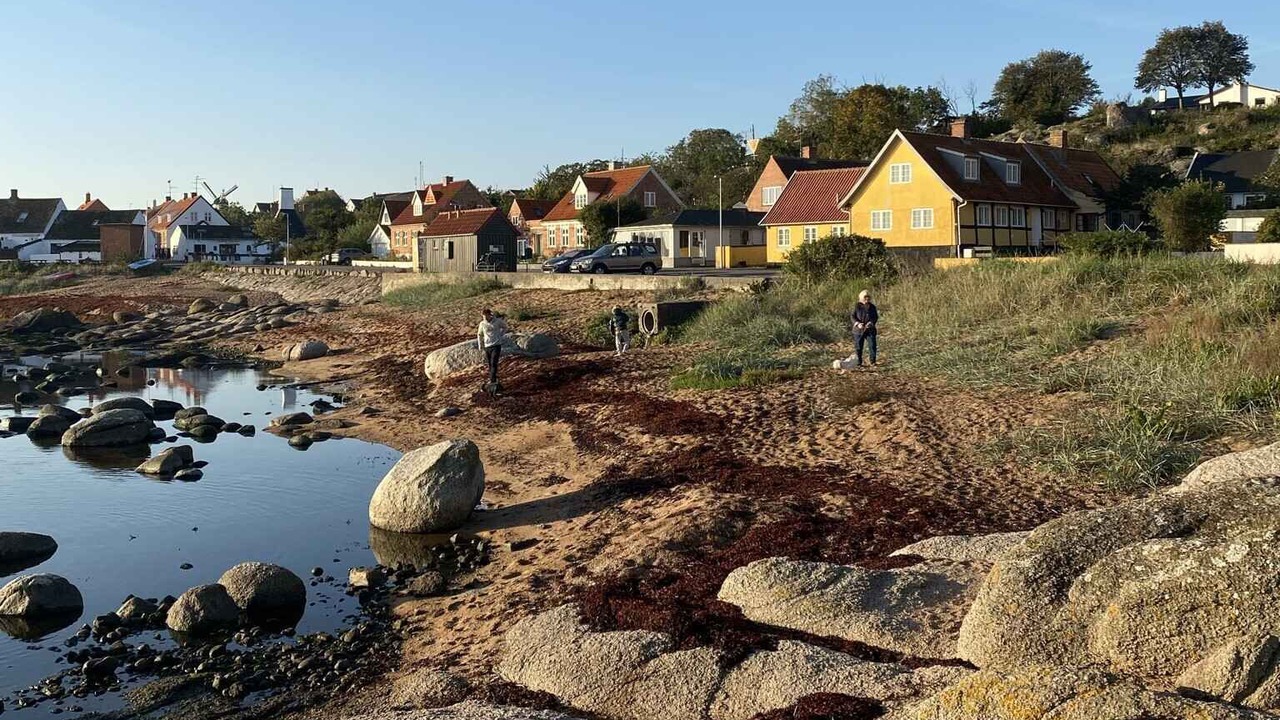 Photo of Others in Svaneke