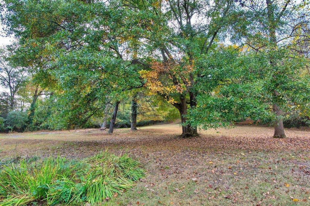 Photo of Outdoor in Soddy-Daisy