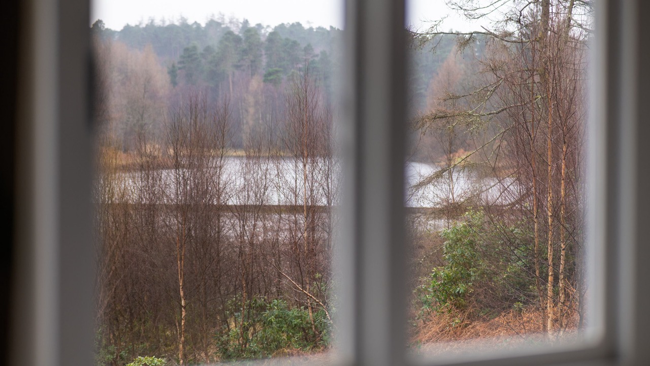 Photo of Others in Graythwaite