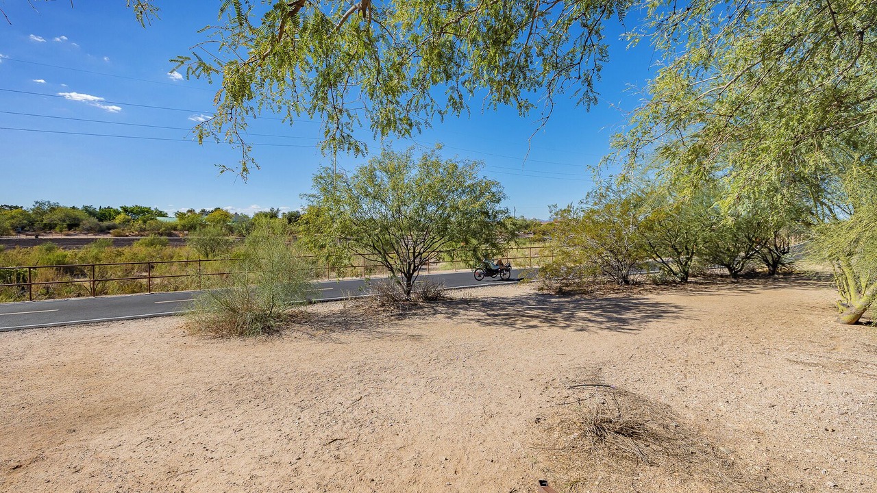 Photo of Others in Tucson