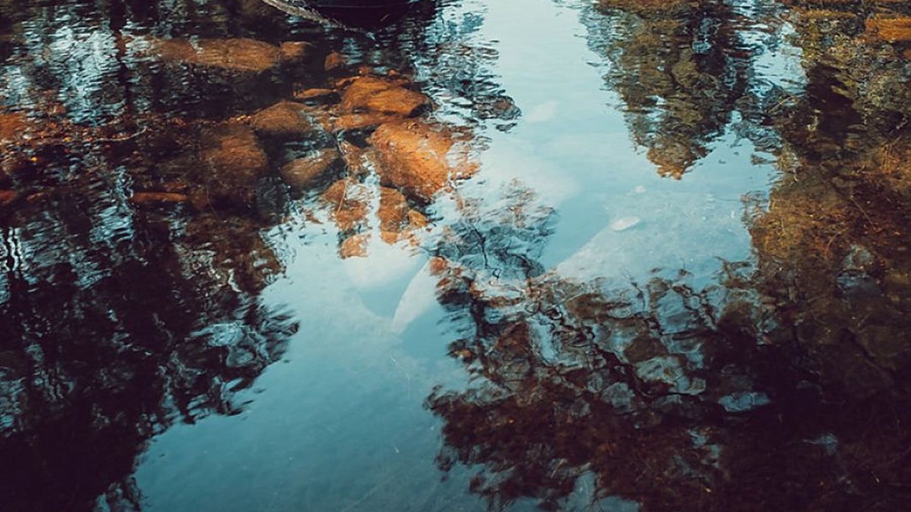 Photo of Outdoor in Wattamolla