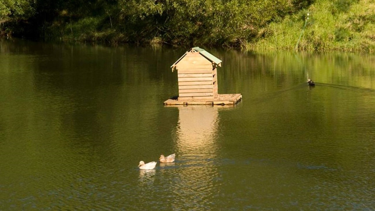 Photo of Others in Wattamolla