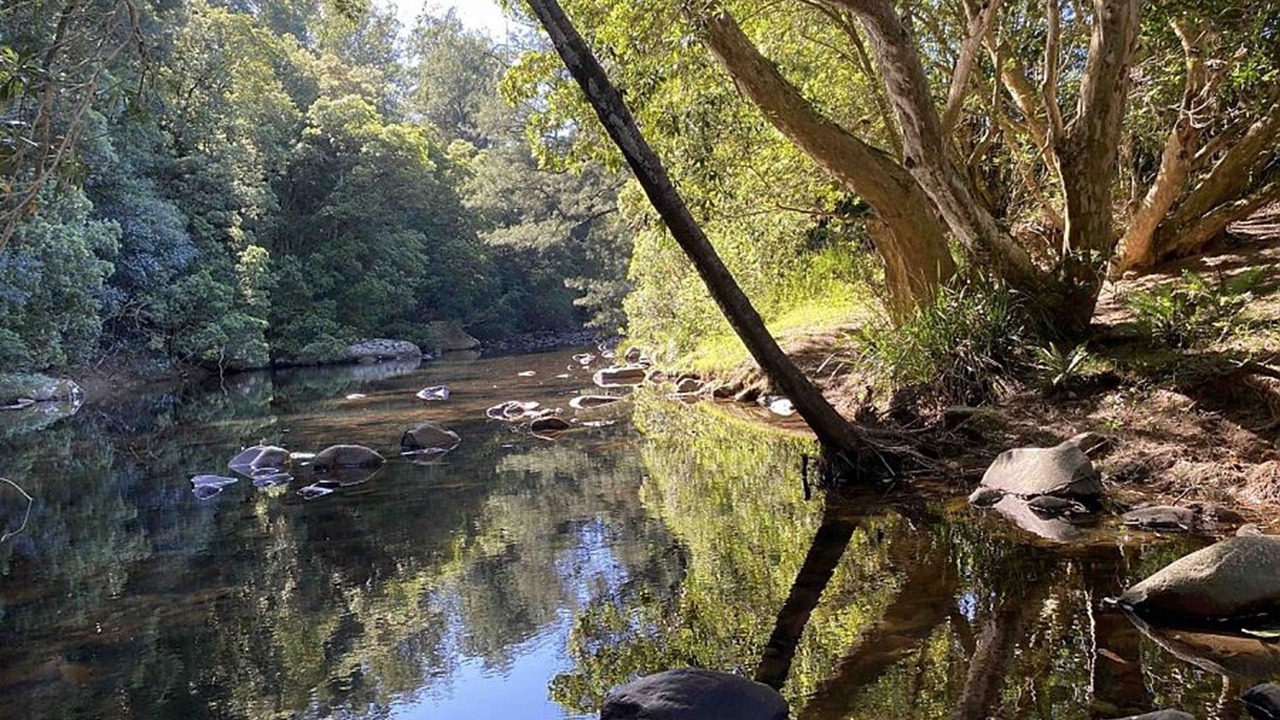 Photo of Others in Wattamolla