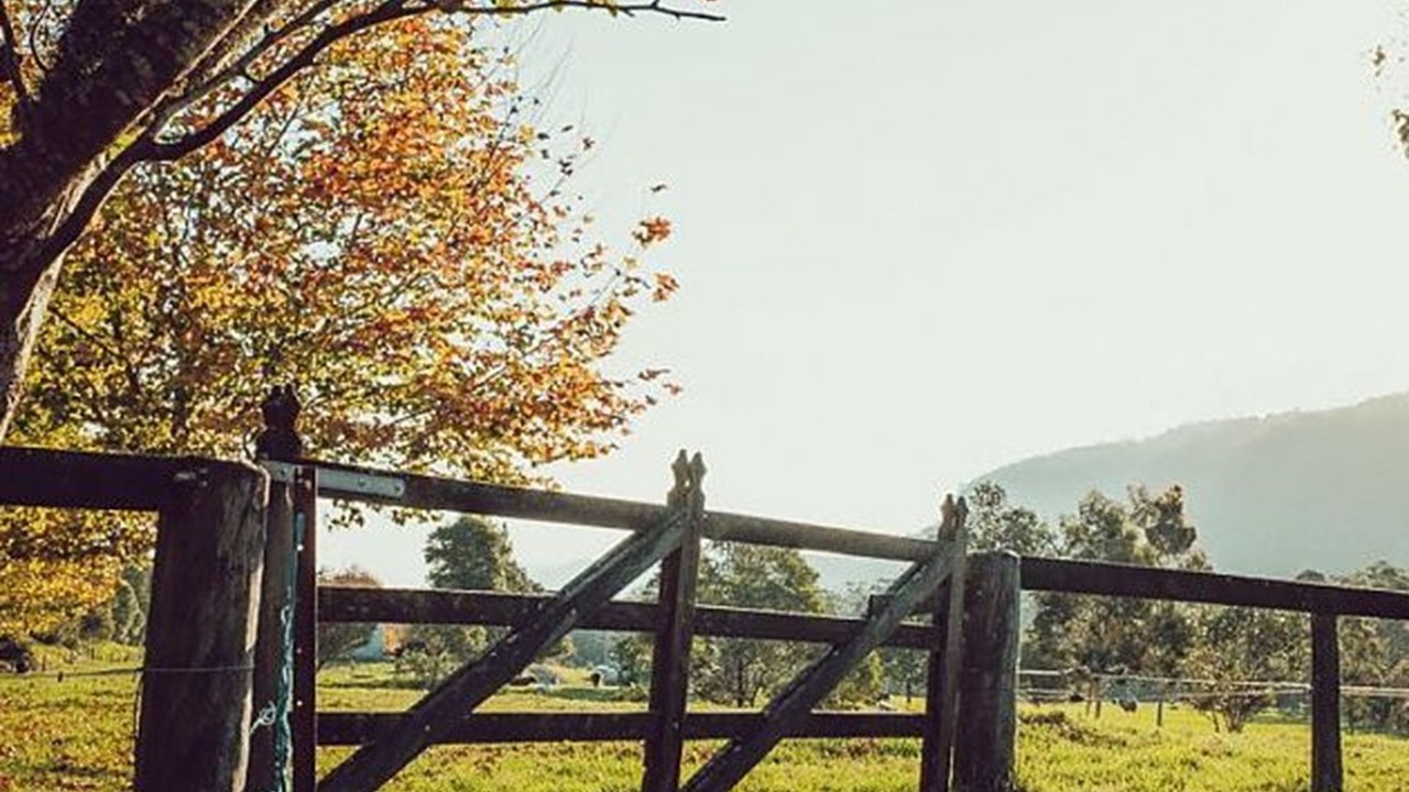 Photo of Outdoor in Wattamolla