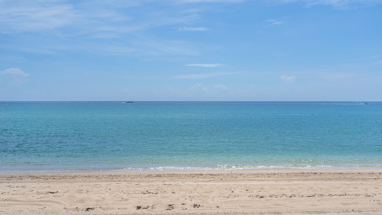 Photo of Others in Palm Beach