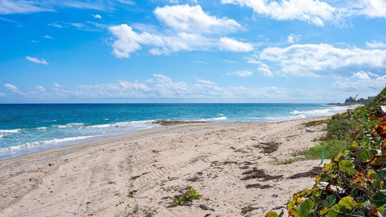 Photo of Others in Palm Beach