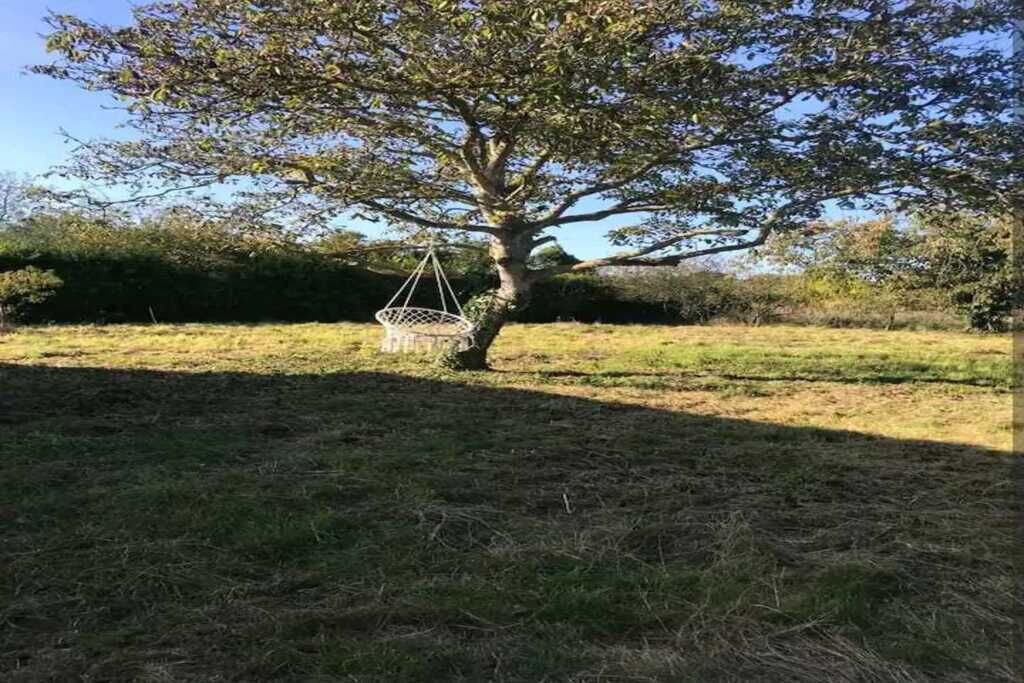 Photo of Outdoor in Pluduno