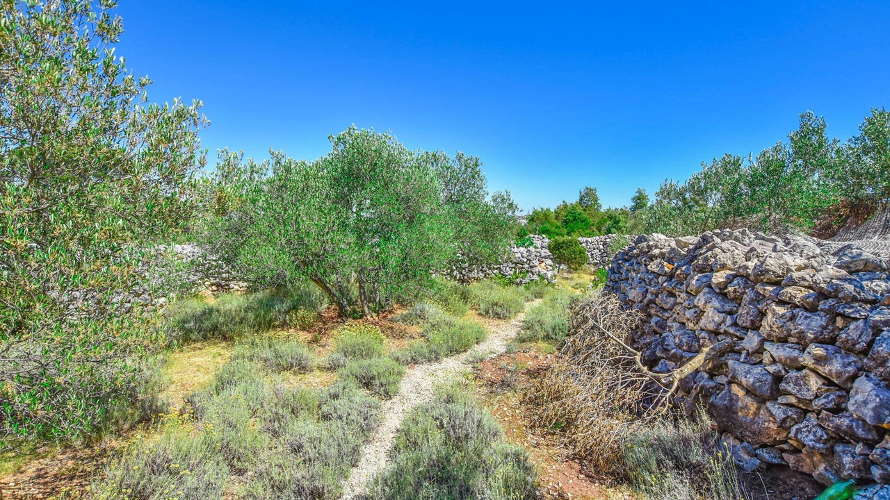 Photo of Outdoor in Nevidane