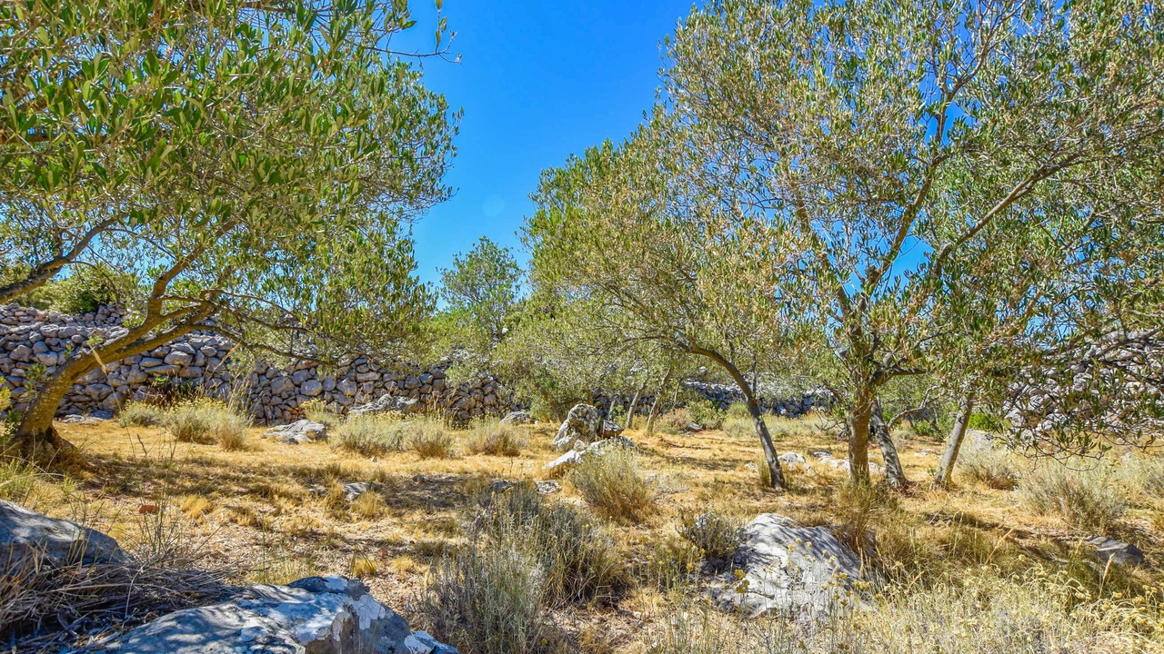 Photo of Outdoor in Nevidane