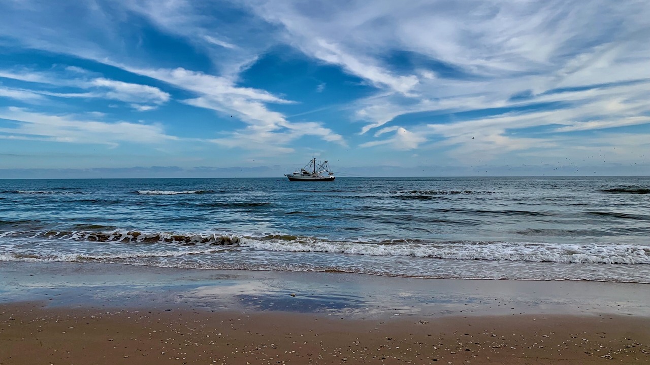 Photo of Others in Matagorda