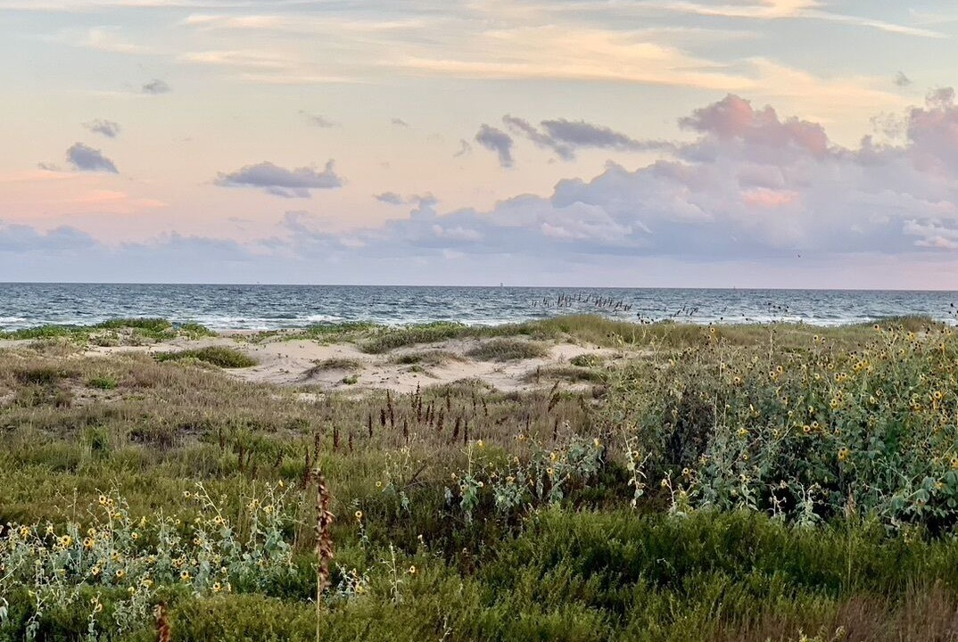 Photo of Others in Matagorda